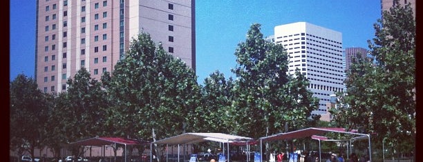 The 15 Best Places for Picnics in Houston