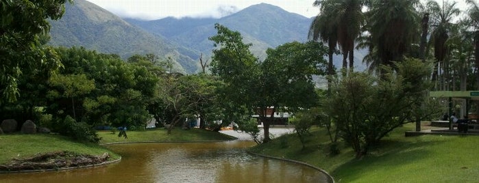 Parque Generalísimo Francisco de Miranda is one of Caracas must.