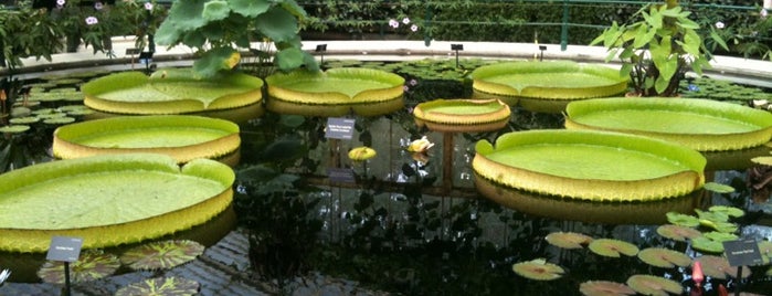 Royal Botanic Gardens is one of Lieux sauvegardés par Dilek.