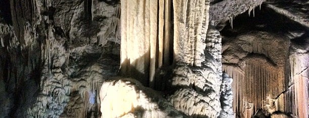 Postojnska jama / Postojna Cave is one of Lugares favoritos de Takashi.