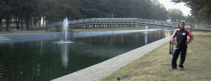 Parque Metropolitano Bicentenario is one of Tempat yang Disukai Florencia.