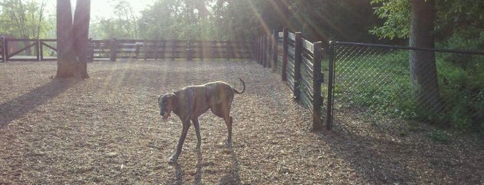 Leesburg Dog Park is one of Wilson's Saved Places.