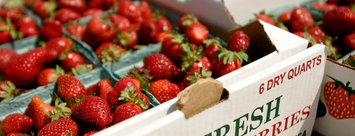 Ball's Berries & Produce is one of Fresh Farms.