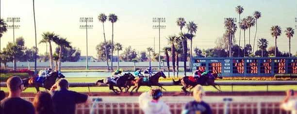Los Alamitos Racetrack is one of Marshaさんのお気に入りスポット.