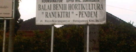 Balai Benih Hortikultura "Ranukitri" Pendem is one of Gaul N Gokil.