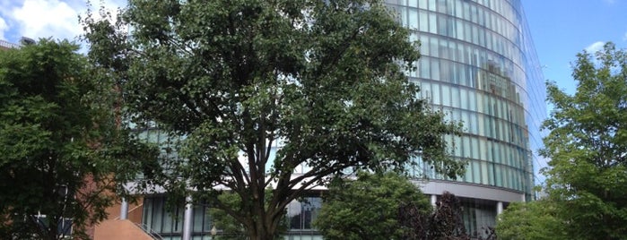 Behrakis Health Sciences Center is one of Lieux qui ont plu à Chris.