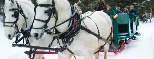 Lone Mountain Ranch is one of Skiing.