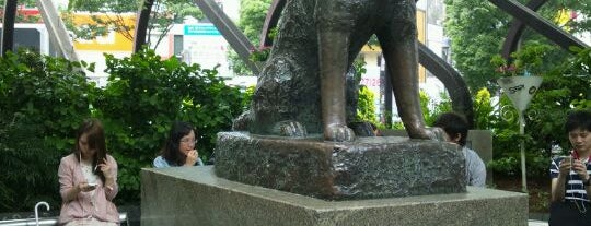 Hachiko Statue is one of Lieux qui ont plu à Shinichi.