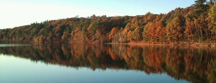 Walden Pond State Reservation is one of Boston's Finest.