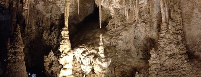 Carlsbad Caverns National Park is one of National Parks.