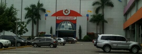 Flamboyant Shopping is one of Shopping's world.