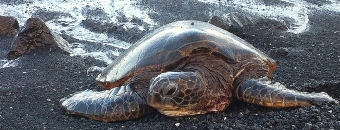 Punalu'u Black Sand Beach is one of Natur Punkt.