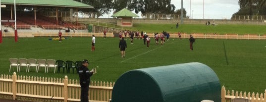 North Sydney Oval is one of Soccer.