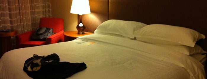Sheraton Iowa City Hotel is one of Posti che sono piaciuti a Xiao.