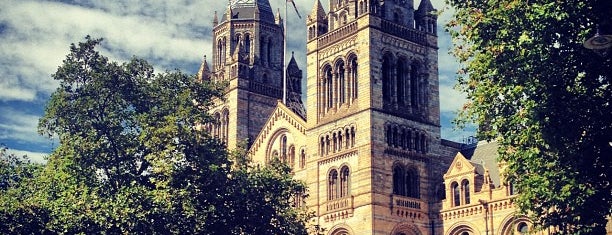 Natural History Museum is one of London dreams.