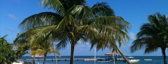 Palmetto Bay Plantation Resort Roatan is one of Descuentos BAC|Credomatic en turismo.