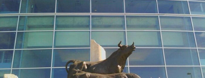 NRG Stadium is one of Best Stadiums.