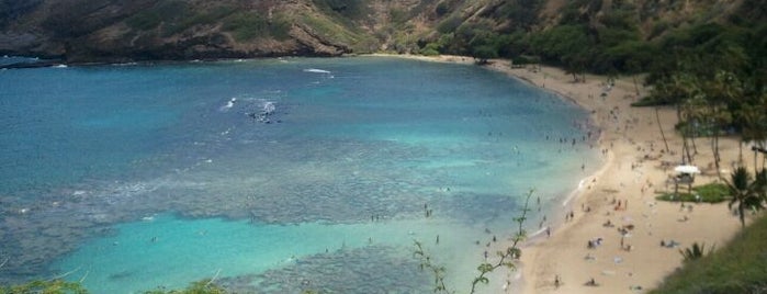 Hanauma Bay Nature Preserve is one of Hawaii.