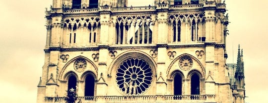 Cathédrale Notre-Dame de Paris is one of 行ったことがあるのにチェックインしてない場所.
