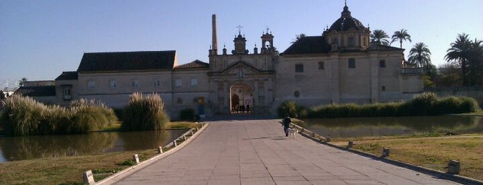 Monasterio de la Cartuja is one of 101 cosas que ver en Andalucía antes de morir.