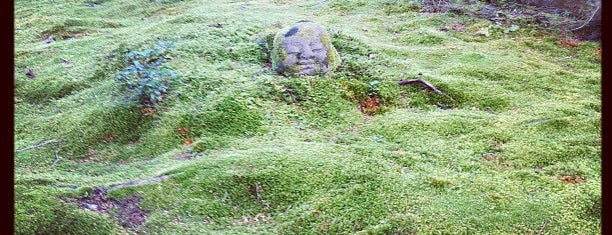 Sanzen-in Temple is one of 数珠巡礼 加盟寺.