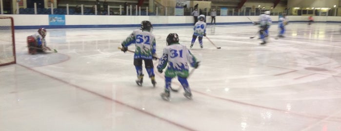 Lee Valley Ice Centre is one of Tired of London, Tired of Life (Jan-Jun).