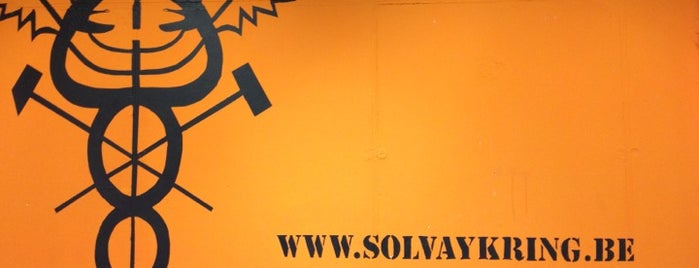 D.1.12 Solvaykot is one of Vrije Universiteit Brussel.