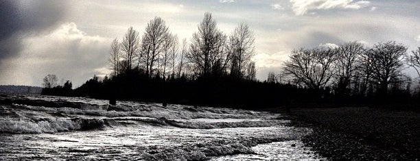 Warren G. Magnuson Park is one of Seattle.