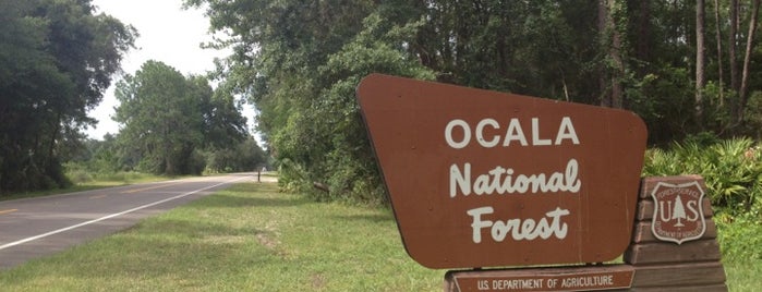 Ocala National Forest is one of Orlando.