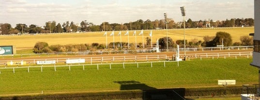 Hipódromo de San Isidro is one of Lolla.