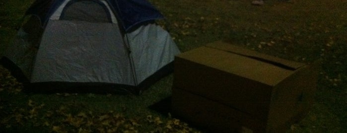 Occupy Denton