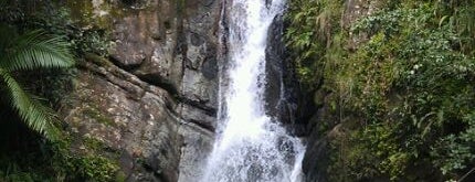 El Yunque National Forest is one of Puerto Rico.