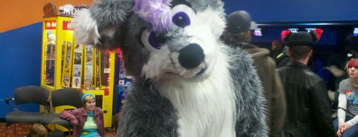 Delaware Furbowl is one of LIKES/TO DO,/ ECT....