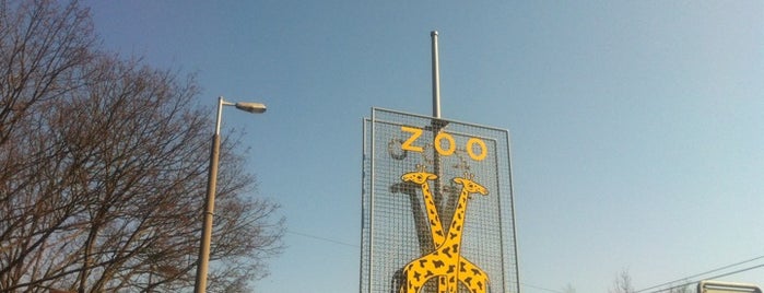 Zoológico de Basilea is one of Basel FTW! #4sqCities.