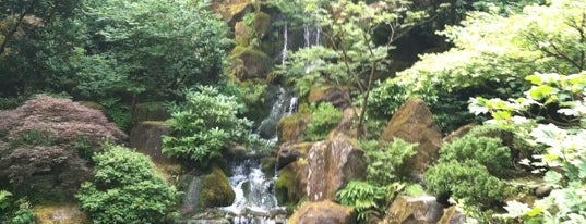 Portland Japanese Garden is one of DPP's PDX.
