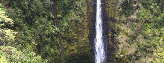 Akaka Falls State Park is one of Paradise musts.