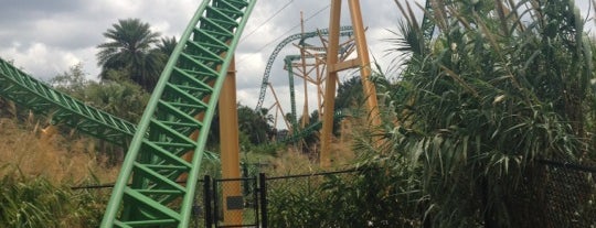 Busch Gardens Tampa Bay is one of Olly Checks In.