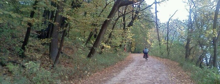 Howard M. Temin Lakeshore Path is one of Fresh Air Around Madison, WI.