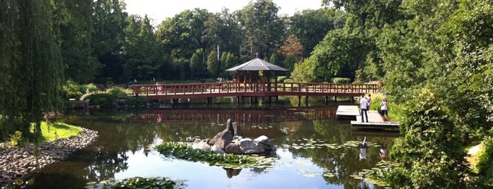 Ogród Japoński | Japanese Garden is one of Wroclaw Top Places on Foursquare.
