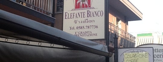 Rist. Elefante Bianco is one of Carrara area.