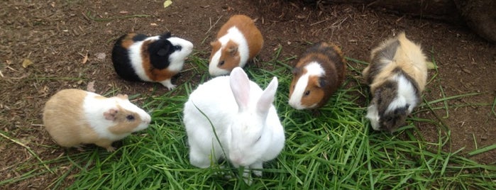 上野動物園 上野動物園