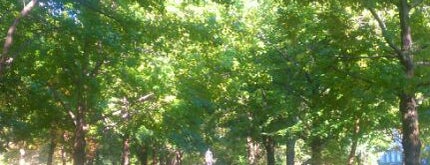 Commonwealth Avenue Mall is one of Boston bucket lisy.