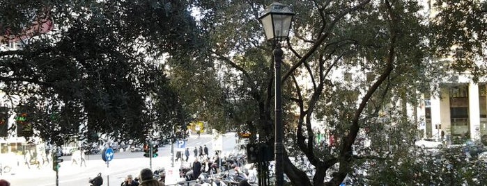 Piazza Dante is one of Tour organizzati.