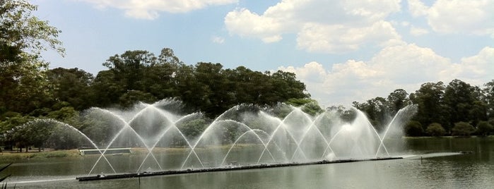 Parque Ibirapuera is one of Viagem e turismo.