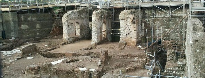 Domus Aurea is one of Accessibility in Rome.