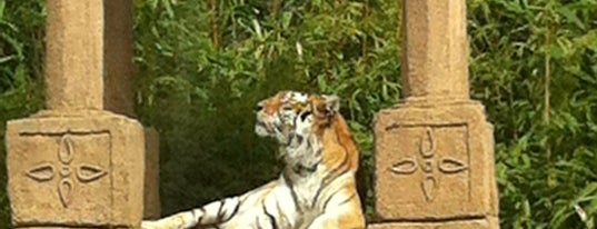 Isle Of Wight Zoo is one of Isle of Wight.