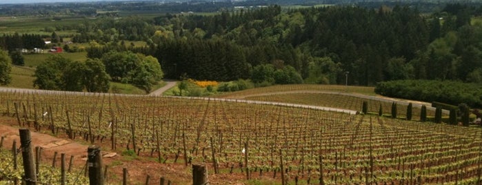 Archery Summit is one of Dundee Hills AVA Wineries.