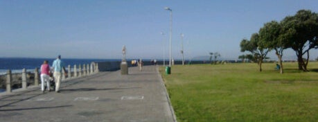 Sea Point Beach Promenade is one of Best places in Cape Town, South Africa.