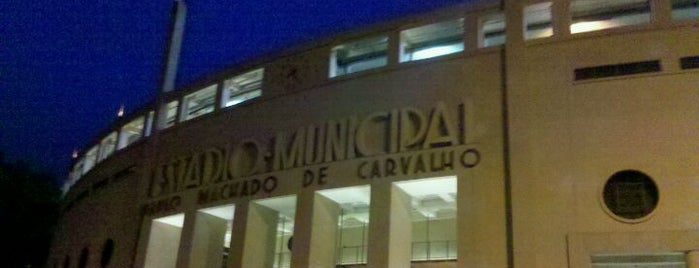 Estádio Municipal Paulo Machado de Carvalho (Pacaembu) is one of Pontos Turísticos.