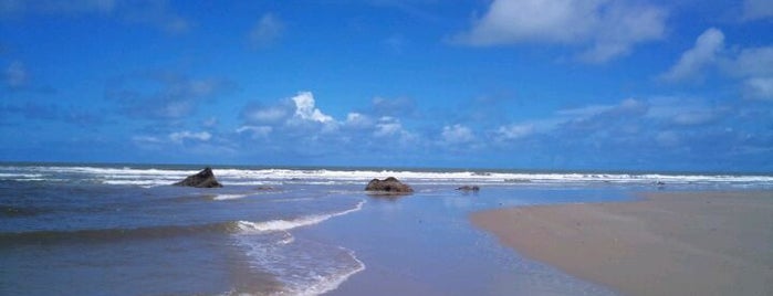 Praia de Miriri is one of Litoral Paraibano.